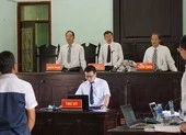 Vụ gỗ khô: Ba thẩm phán tuyên không phạm tội bị kiểm điểm