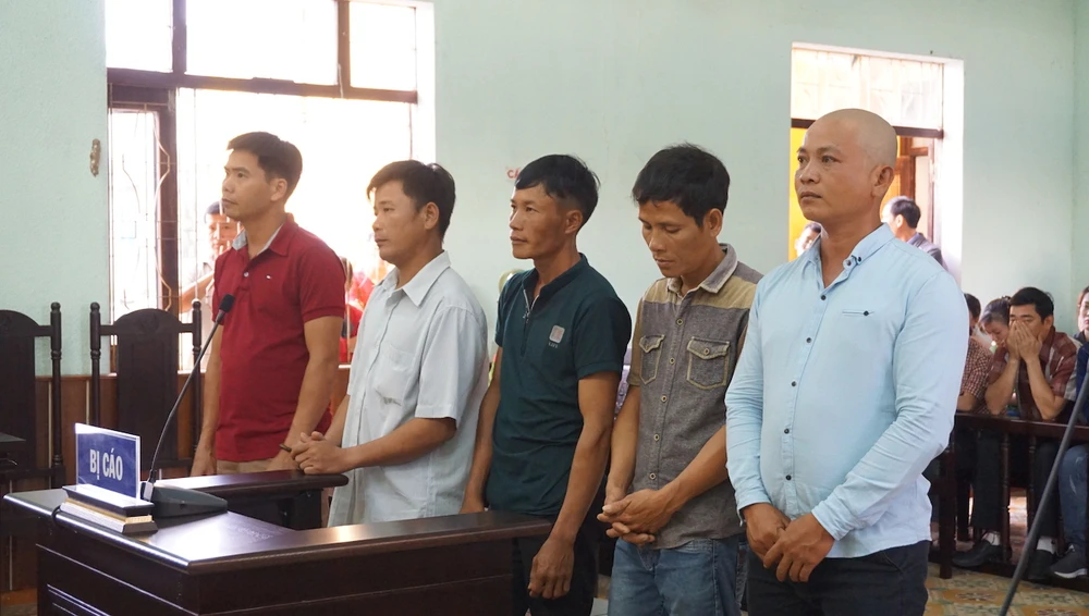 Vụ gỗ khô: Chủ tọa tuyên 5 người vô tội thôi làm chánh án ảnh 2