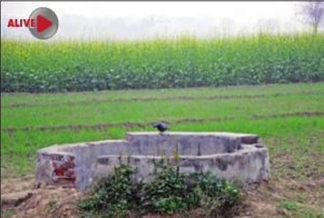 Cô bé 15 tuổi sống sót kỳ diệu sau khi bị hiếp, bắn, ném xuống giếng ảnh 1