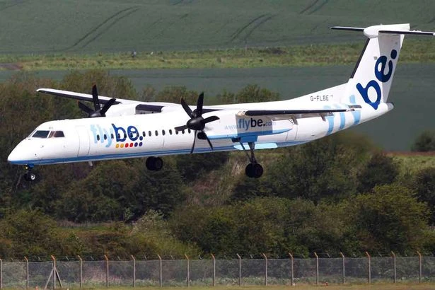 Va phải chim trời, máy bay hạ cánh khẩn ảnh 1