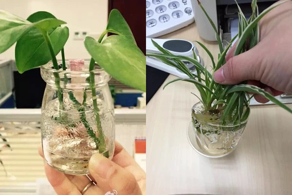 Những hình ảnh lạnh đến ‘cắt thịt cắt da’ ở Trung Quốc ảnh 10