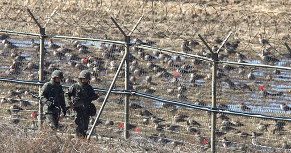 khu phi quân sự liên triều