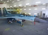 Tiêm kích F-16 của Mỹ sơn màu giống Su-57 của Nga