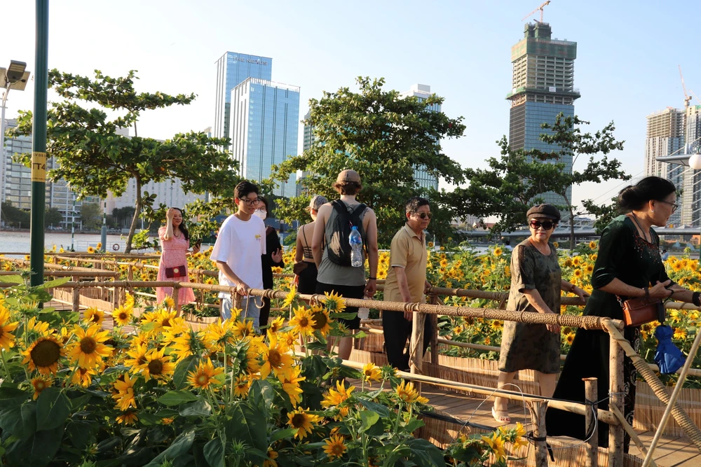 hoa hướng dương