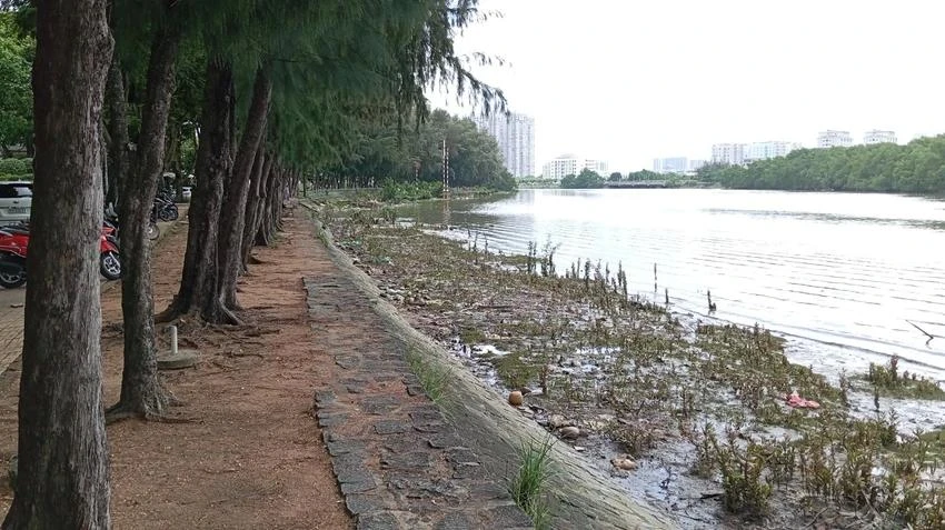 phố đêm trung sơn