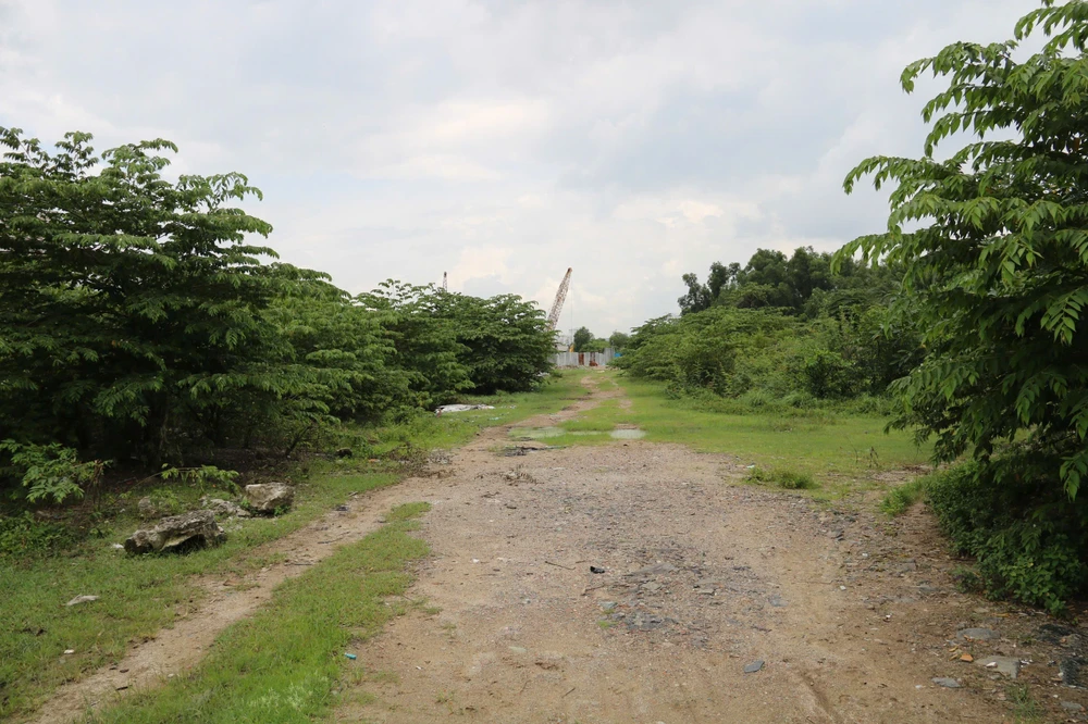 Lối đi dẫn vào dự án cỏ mọc um tùm.