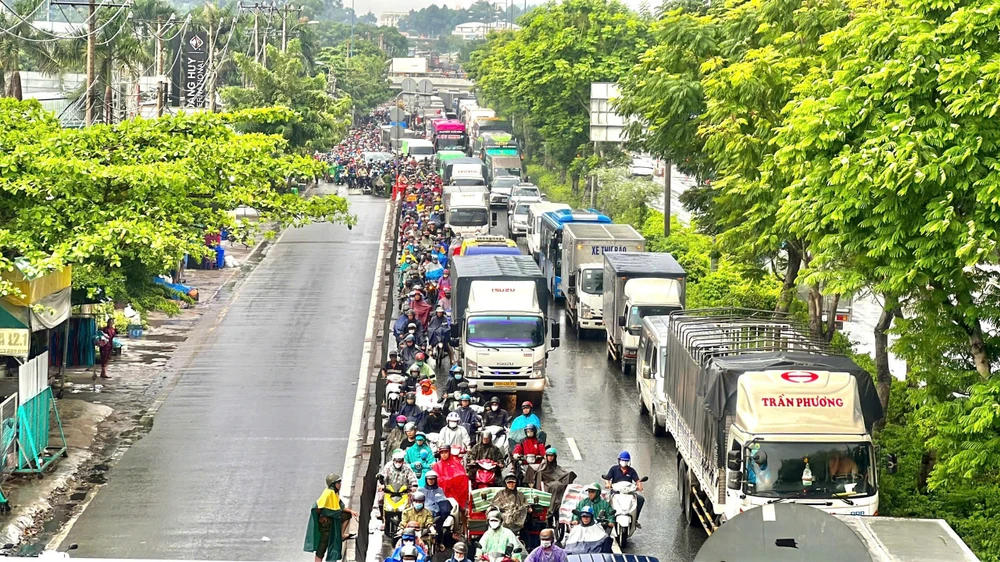 đường đỗ mười