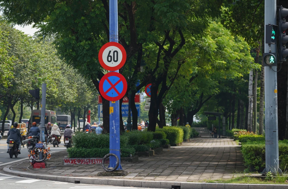 lan-duong-uu-tien-cho-xe-dap-18.jpg