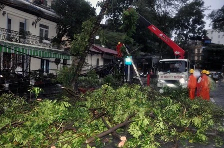 Hà Nội: Cây cổ thụ, cột điện lại gãy đổ sau bão ảnh 3