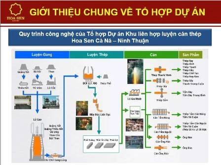 Công ty Mỹ làm tư vấn, thiết kế dự án thép Cà Ná ảnh 2