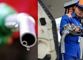 Đầu xuân Canh Tý 2020, giá xăng bất ngờ giảm gần 800 đồng/lít