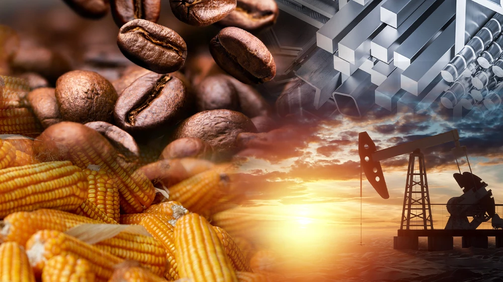 Để duy trì sự ổn định, bền vững, giảm thiểu rủi ro cho hàng hóa Việt, nhà quản lý cần có các cơ chế chính sách phù hợp. Ảnh: MXV