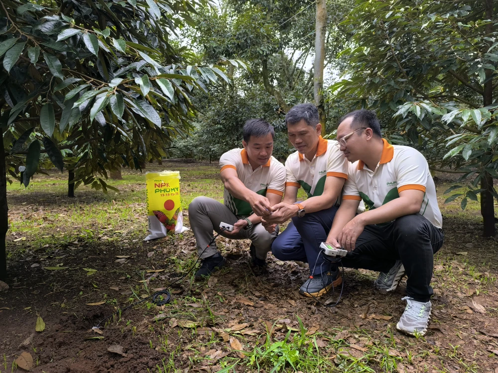 Phú Mỹ triển khai đo dinh dưỡng đất thông minh, ứng dụng công nghệ tiên tiến (2) (1).jpg