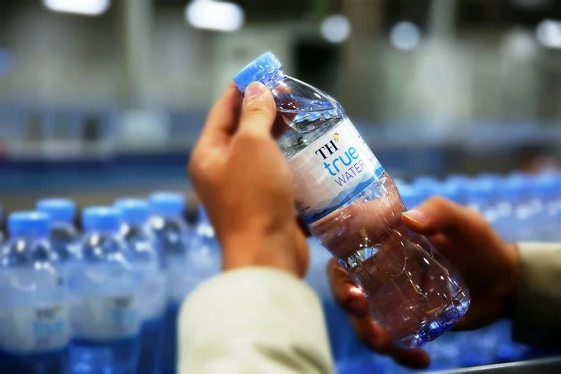 Tập đoàn TH tặng 21.000 cây dổi xanh cho Nghệ An ảnh 4