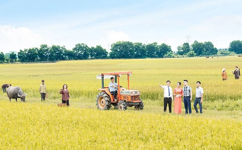 Các ngân hàng chiếm lĩnh thành công thị trường nông thôn sẽ nắm giữ thị phần ngân hàng bán lẻ của thị trường