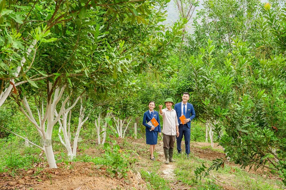 Cán bộ tín dụng LienVietPostBank trao đổi với người dân tham gia dự án trồng cây mắc ca ở Điện Biên