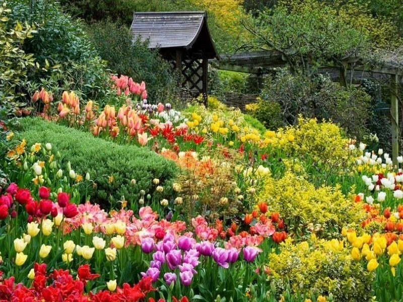 Đà Lạt - Thành phố ngàn hoa