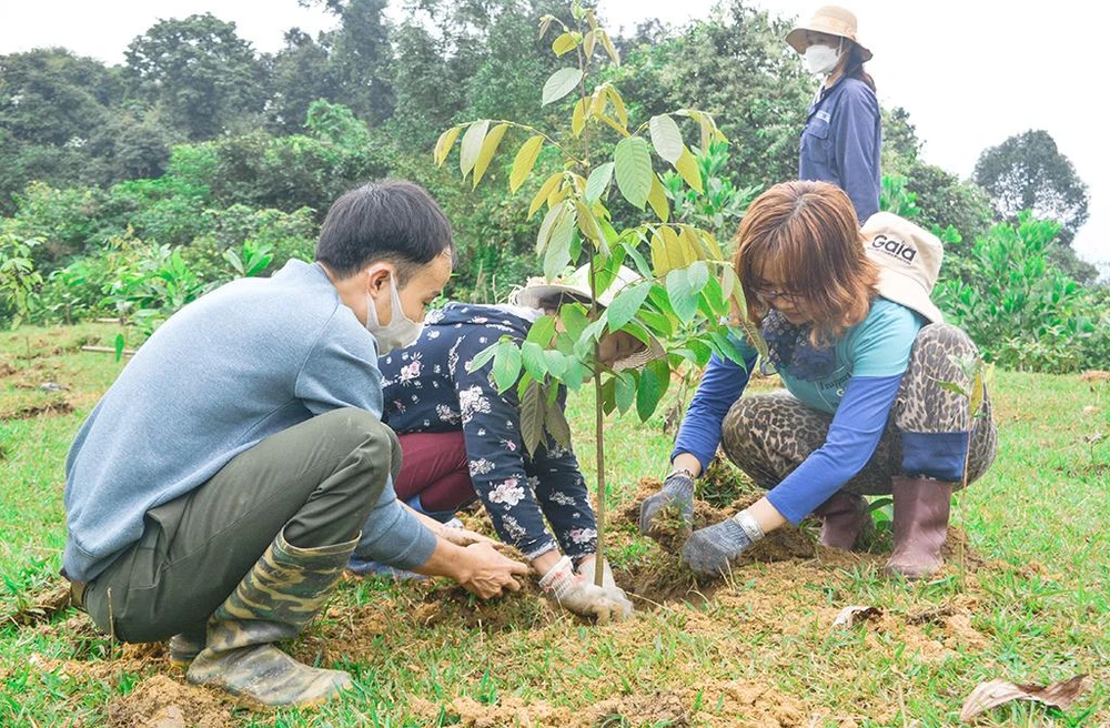 Cộng đồng tham gia trồng rừng trong chương trình của Manulife & GAIA Cộng đồng tham gia trồng rừng trong chương trình của Manulife & GAIA