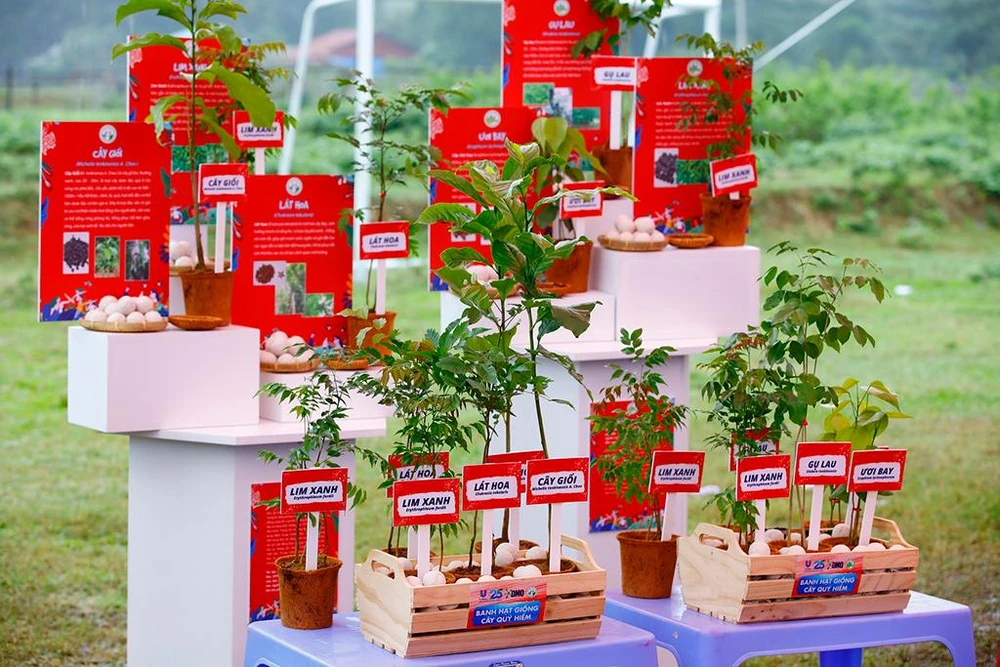 Từ 2019 đến nay, OMO đã trồng hơn 250.000 cây xanh ở 19 tỉnh, thành.