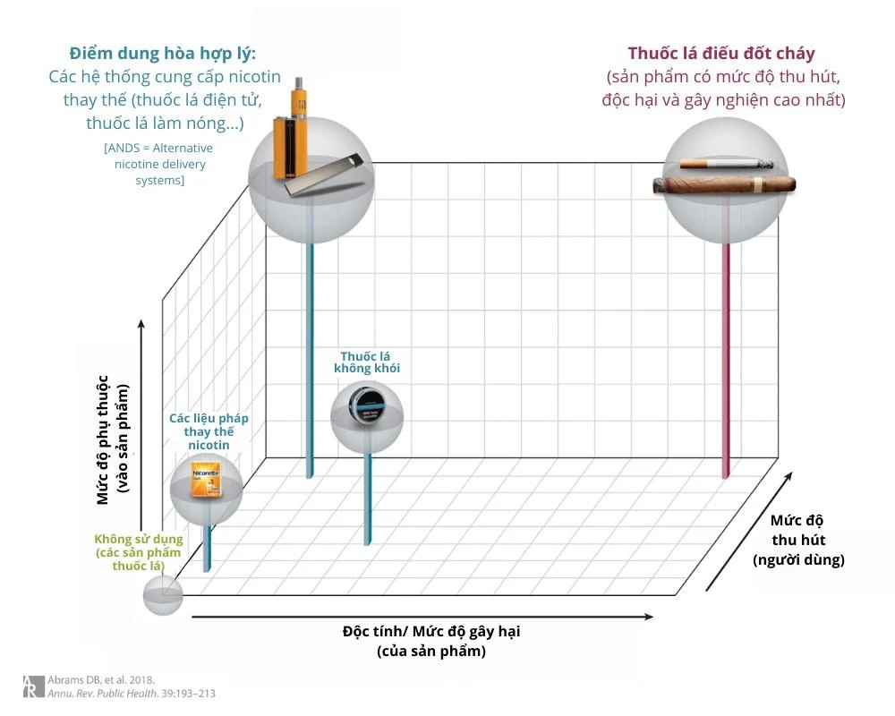 Nghiên cứu của nhóm tác giả đăng trên tạp chí Annual Review (Hoa Kỳ) cho thấy: thuốc lá điếu thông thường đứng đầu về mức độ tác hại, so với các sản phẩm TLTHM.