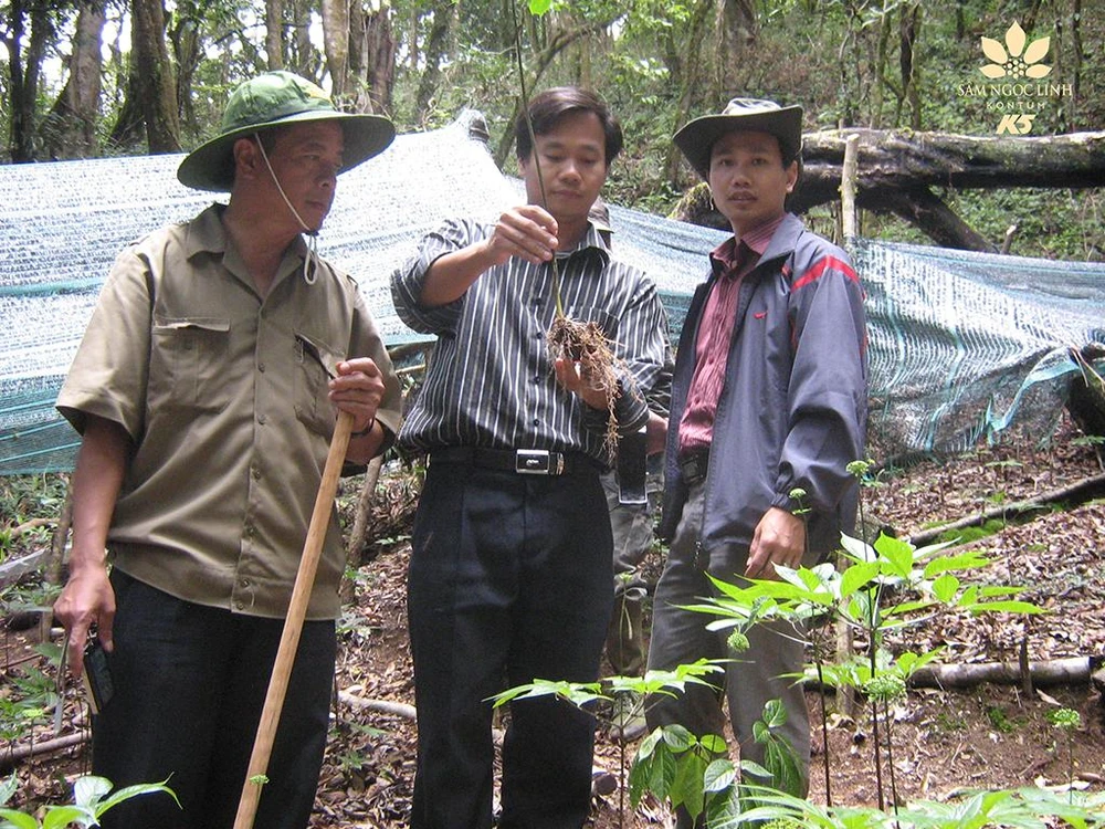 Ông Đào Xuân Quí (nguyên Chủ tịch UBND tỉnh Kon Tum khóa X), Ông Trần Hoàn (Chủ tịch HĐQT) và ông Trần Hảo