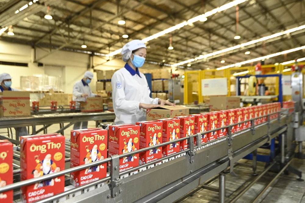 Với dây chuyền sản xuất hiện đại, sản lượng lớn, sữa đặc Ông Thọ hiện có thể đáp ứng nhu cầu cả trong nước và xuất khẩu.