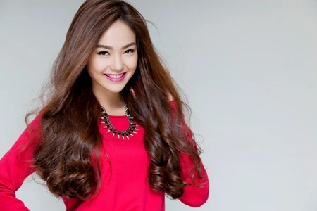 Showbiz với dự định năm mới ảnh 2