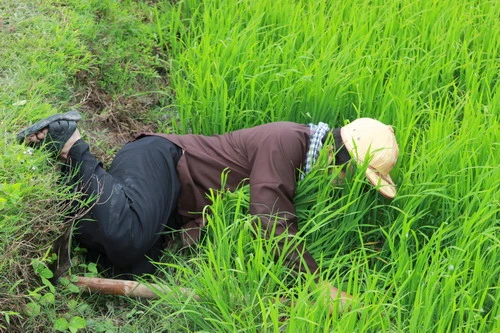 'Hai Lúa' Thanh Nam gặp tai nạn khi đóng phim ảnh 1