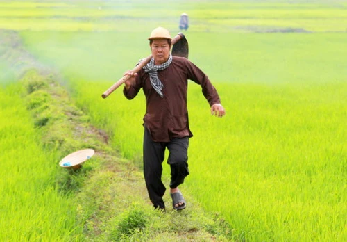 'Hai Lúa' Thanh Nam gặp tai nạn khi đóng phim ảnh 2