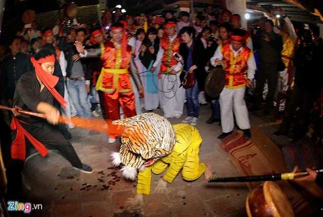 Trong tiếng chim kêu vượn hú, các quan viên cầm côn múa nhử hổ.