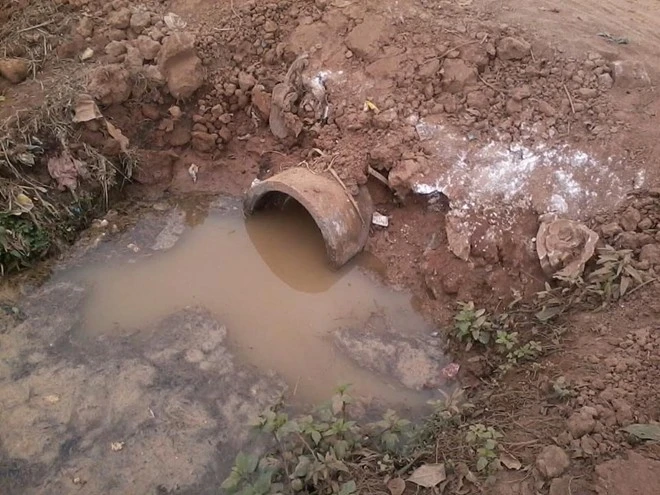 Khu vực phát hiện nghi sọ người.