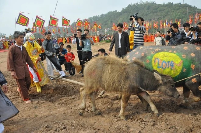 Cụ Tế (áo vàng, trái) đang đóng giả vua đi cày trong lễ hội Tịch Điền năm 2014.