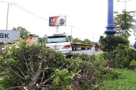 Chiếc du lịch mất lái lao sang trái phần đường ngược lại.