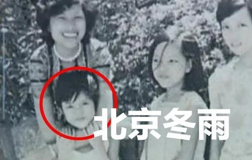 Nhập mô tả cho ảnh