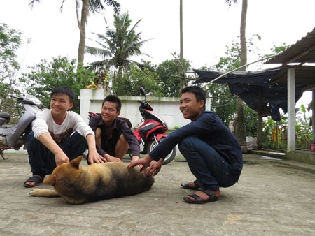 Những đưa trẻ ngây thơ quẩn quanh chơi với nhau đều là họ hàng thân thuộc