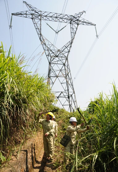 Cuộc giải cứu nghẹt thở ảnh 2 Cuộc giải cứu nghẹt thở ảnh 2