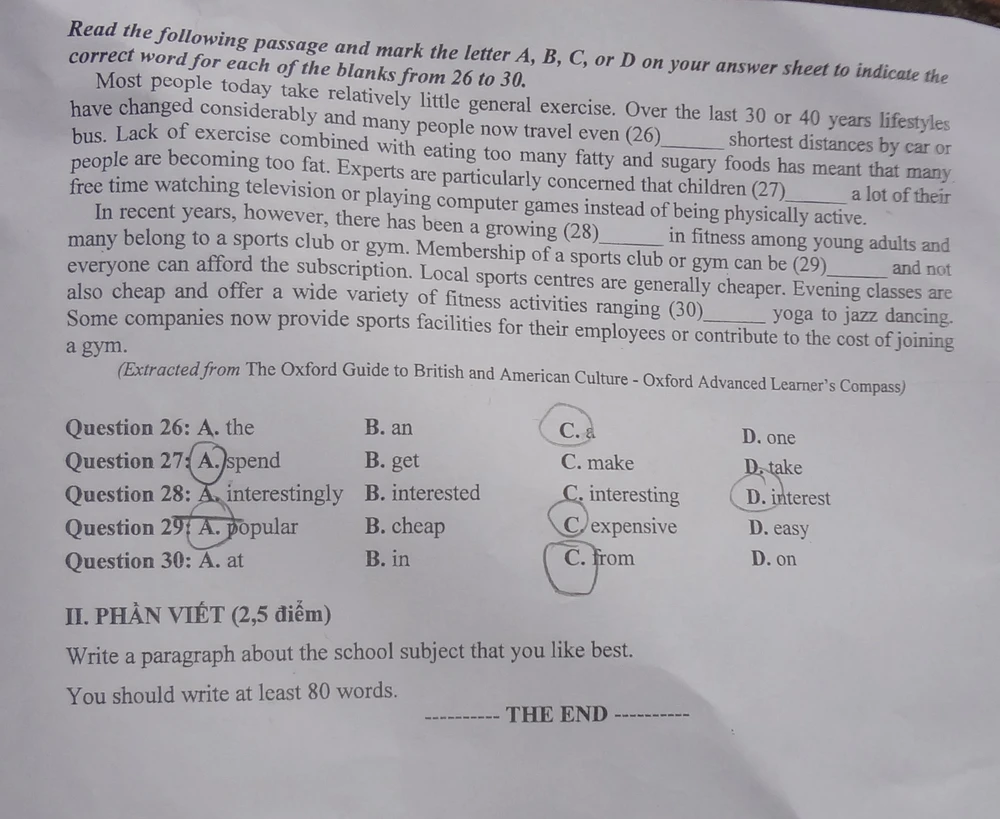Đề thi viết luận môn ngoại ngữ nói về môn học mà em yêu thích ảnh 5