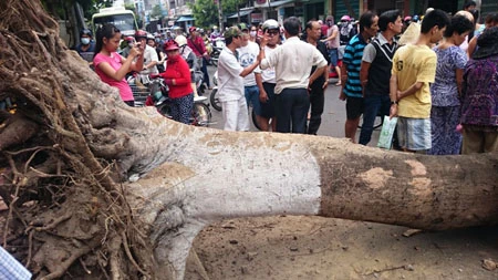 Hiện trường vụ việc.