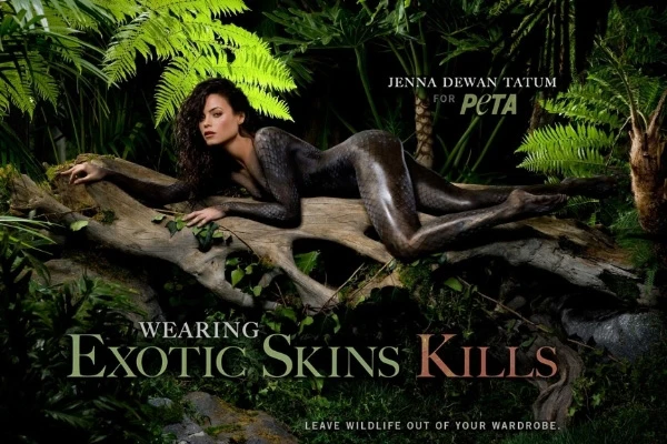 nude, ảnh, người đẹp