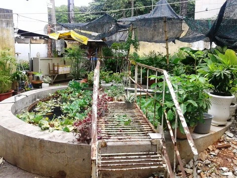 Hồ nước nơi phát hiện thi thể.