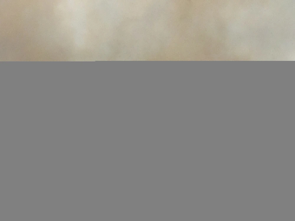 Bãi dăm gỗ trong Cảng Quy Nhơn bốc cháy dữ dội