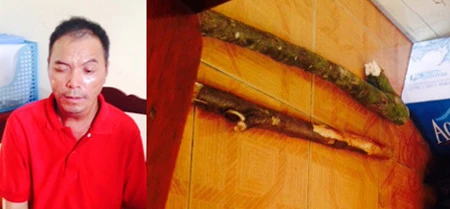 Đối tượng Lực và Tang vật của vụ án.