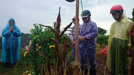 Bố mẹ đẻ chị Huyền đội mưa thắp hương nhận mộ con