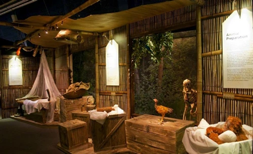 Gõ caption vào đây