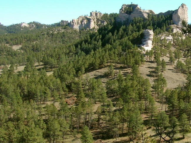 Hồ Piva tại Montenegro, quốc gia ít dân nhất ở Đông Âu, là hồ nước nhân tạo cao nhất thế giới
