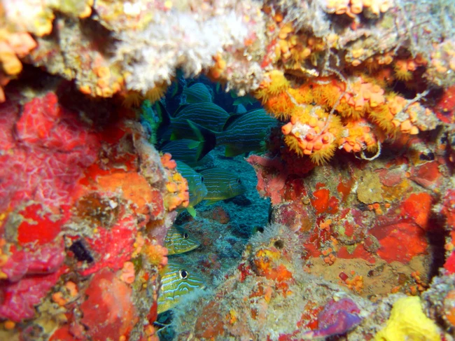 Hồ Perucac: Đây cũng là kết quả của quá trình xây đập thủy điện trên dòng sông Drina tại Serbia.