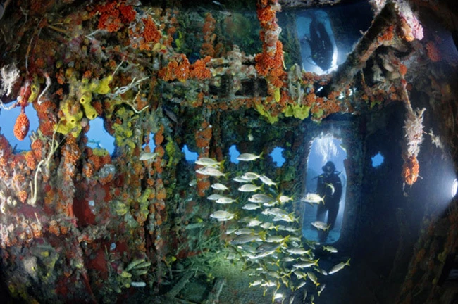 Hồ Perucac: Đây cũng là kết quả của quá trình xây đập thủy điện trên dòng sông Drina tại Serbia.