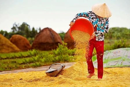 Làng quê dân dã giá trị hơn những resort bạc tỷ