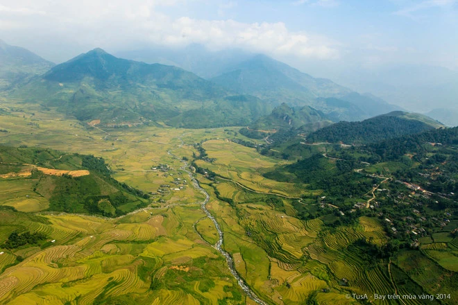 Vẻ đẹp mùa vàng Mù Cang Chải từ dù lượn ảnh 4