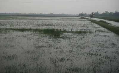 Khu vực xảy ra sự việc